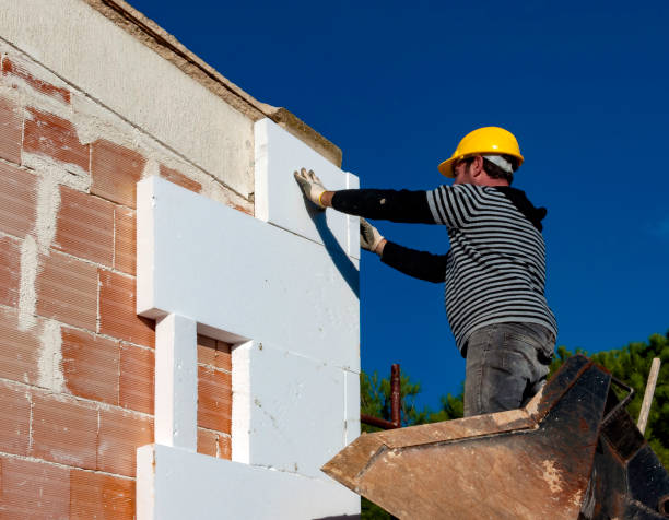 Best Cellulose Insulation in Elgin, SC