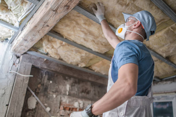 Best Commercial Insulation in Elgin, SC